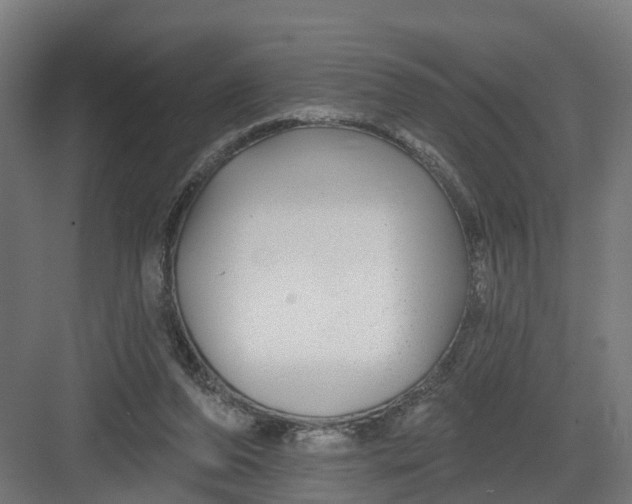 X0000082160208200702092226