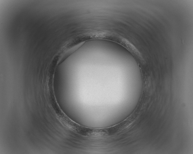 X0000082160209200702092226