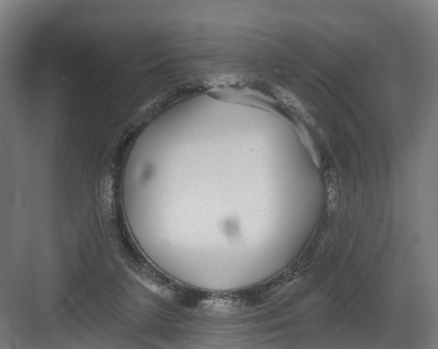 X0000082160211200702092226