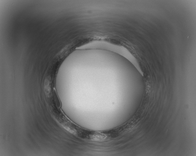 X0000082160215200702092226