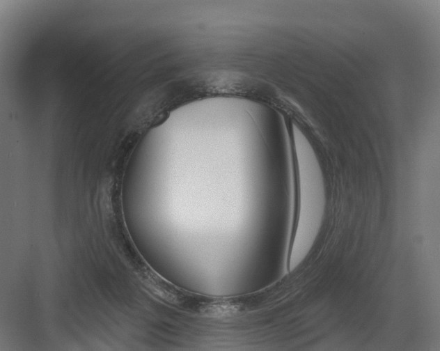 X0000082160217200702092226