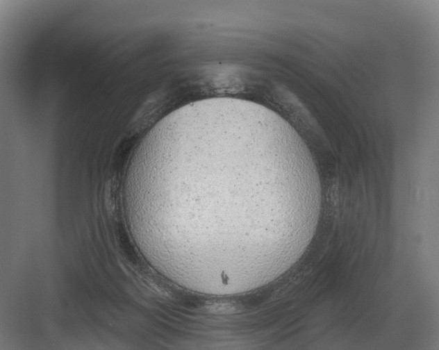 X0000082160218200702092226