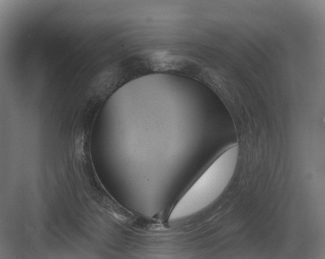 X0000082160219200702092226