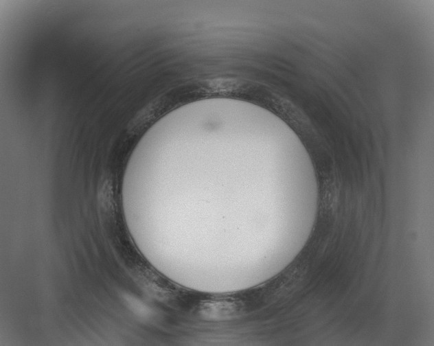 X0000082160220200702092226