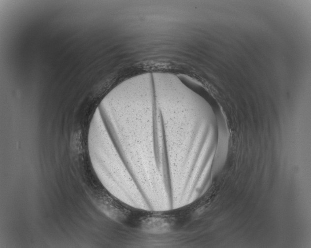 X0000082160224200702092226