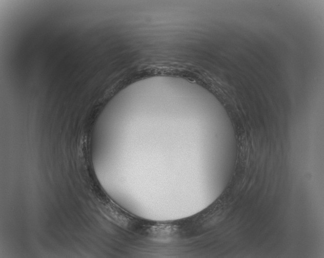 X0000082160225200702092226