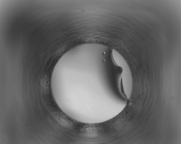 X0000082160228200702092226