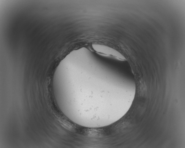 X0000082160229200702092226