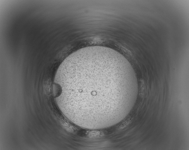 X0000082160230200702092226