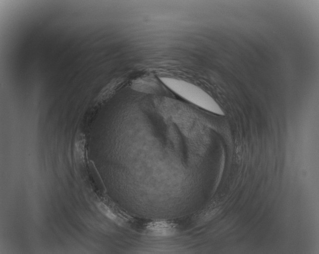 X0000082160231200702092226