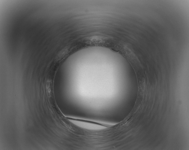 X0000082160232200702092226