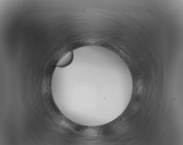 X0000082160236200702092226