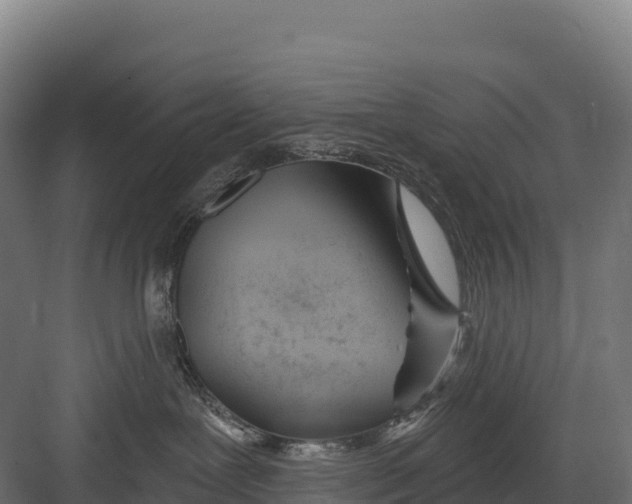 X0000082160239200702092226