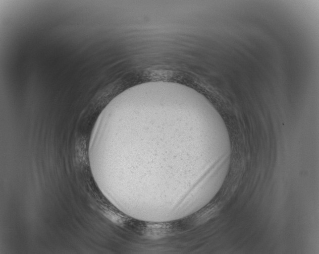 X0000082160240200702092226