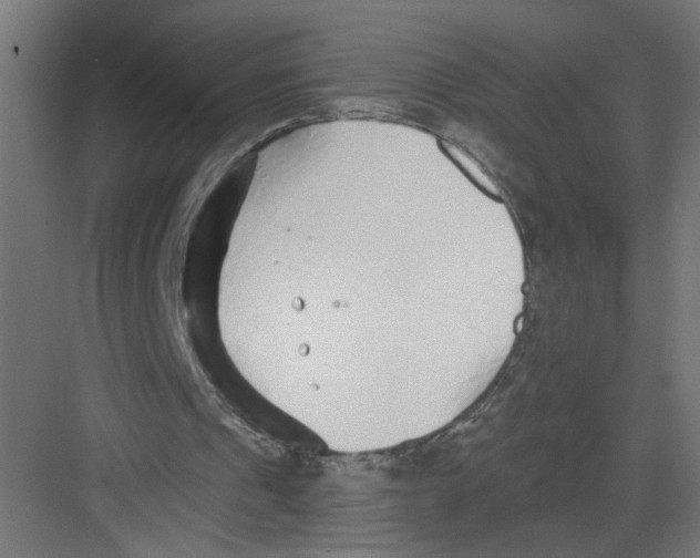 X0000082160241200702092225