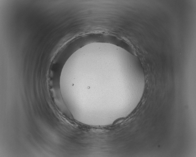 X0000082160242200702092225