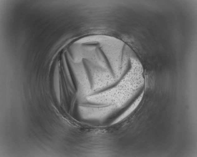 X0000082160243200702092225