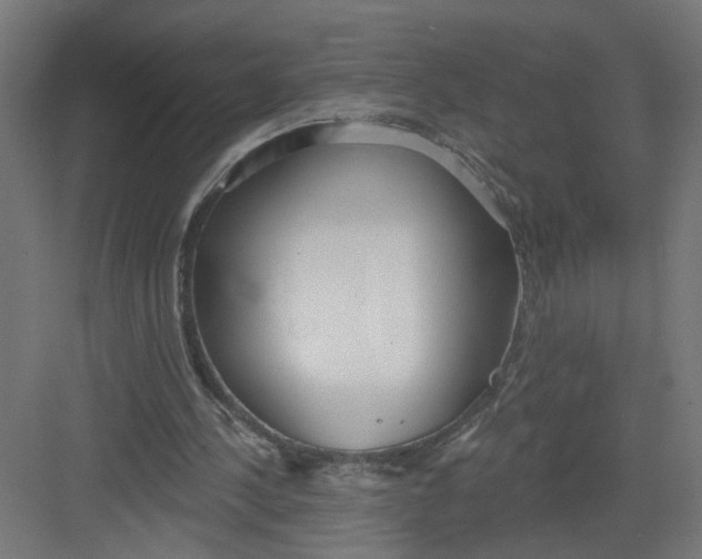 X0000082160244200702092225