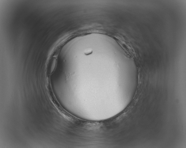 X0000082160245200702092225