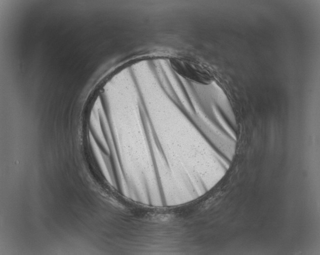 X0000082160247200702092225