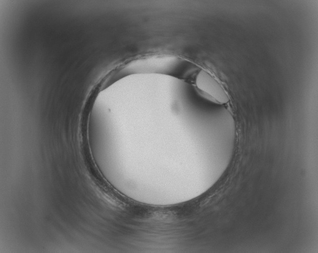 X0000082160248200702092225