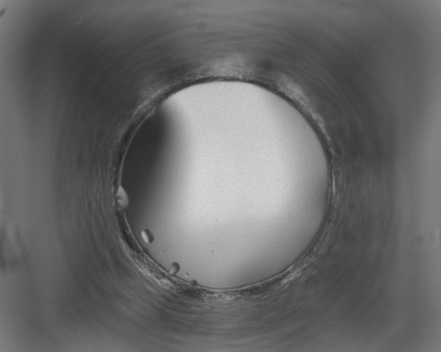 X0000082160249200702092225