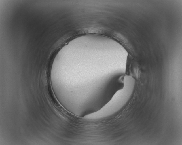 X0000082160250200702092225