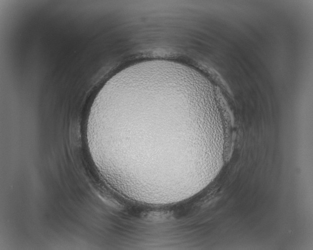 X0000082160251200702092225