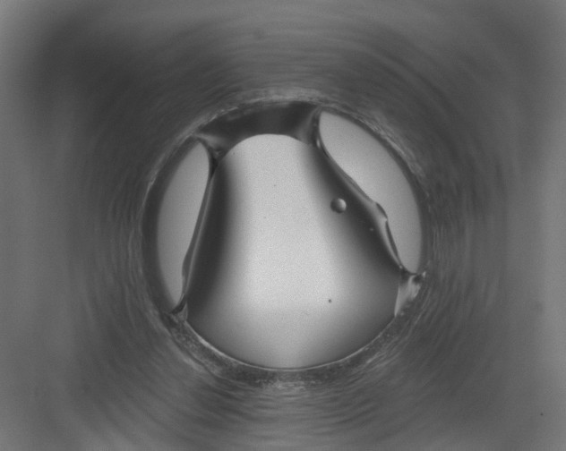 X0000082160252200702092225