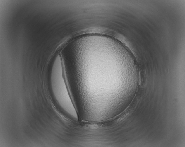 X0000082160253200702092225