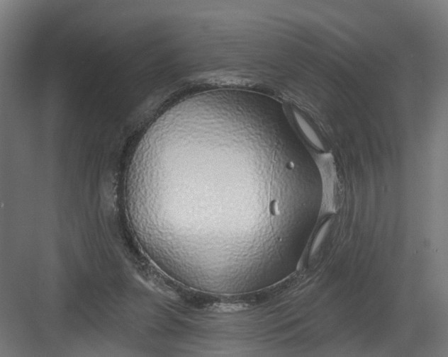 X0000082160255200702092225