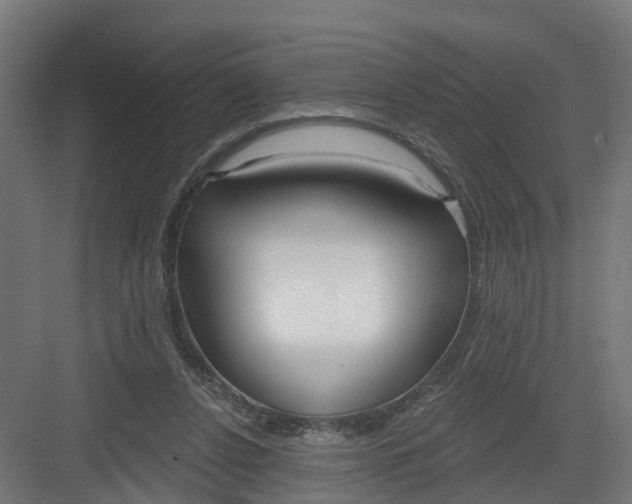 X0000082160256200702092225