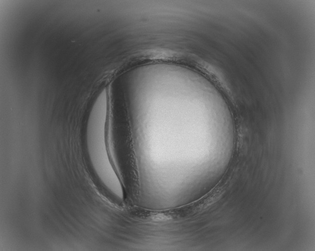 X0000082160257200702092225