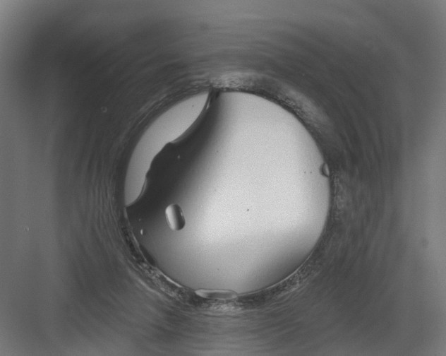 X0000082160258200702092225