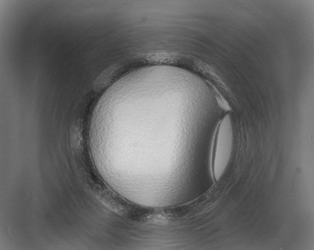 X0000082160259200702092225