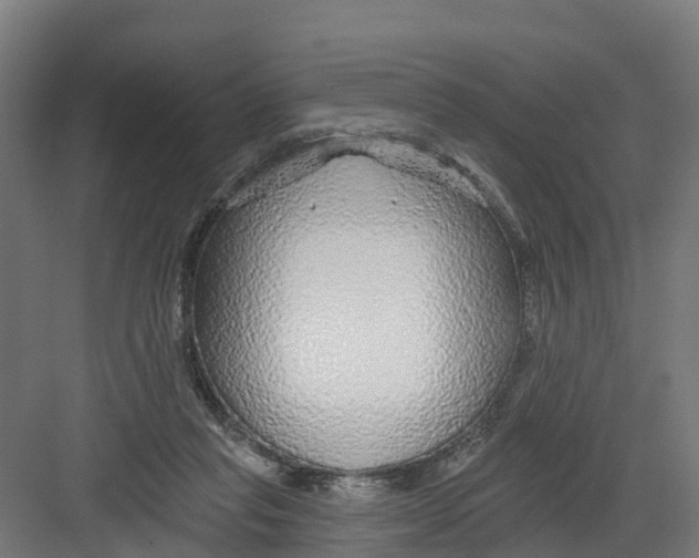 X0000082160261200702092225