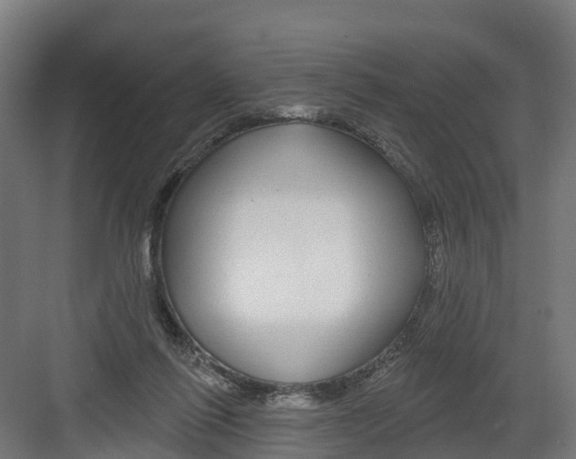 X0000082160262200702092225