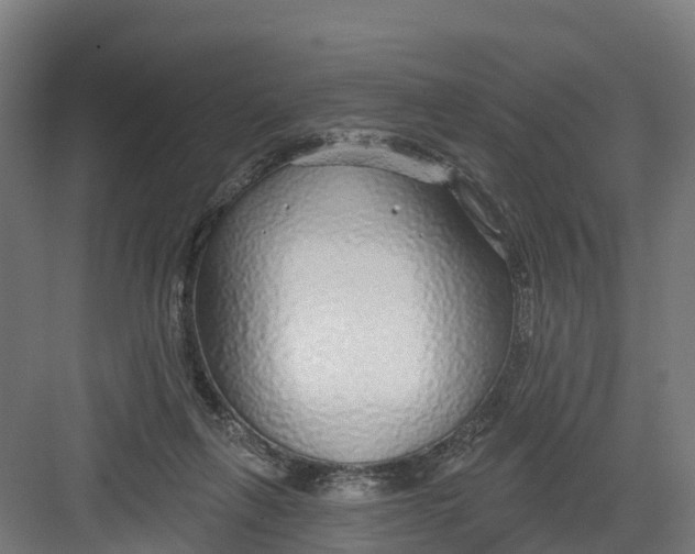 X0000082160263200702092225