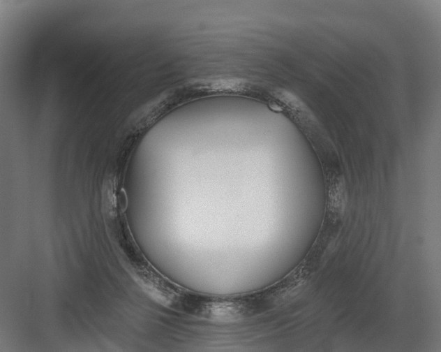 X0000082160264200702092225