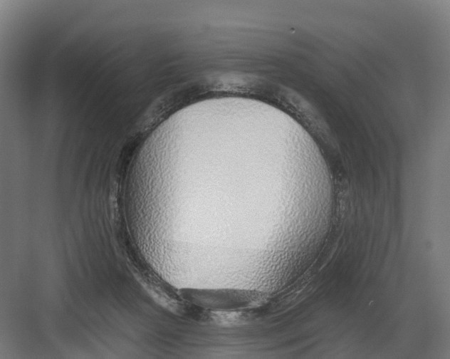 X0000082160265200702092225