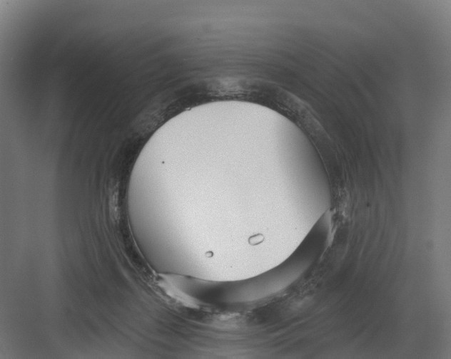 X0000082160267200702092225