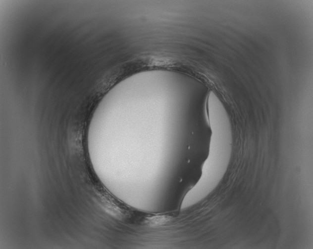 X0000082160269200702092225