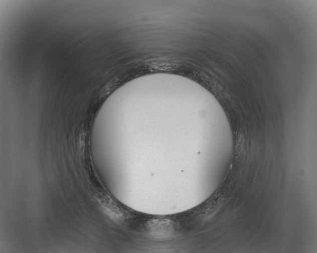 X0000082160271200702092225