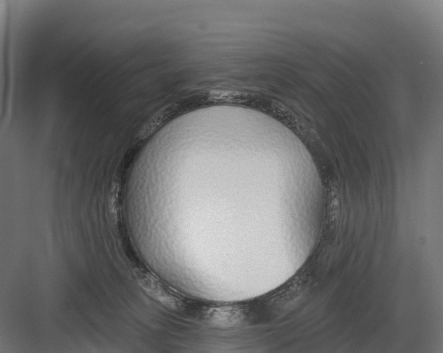 X0000082160275200702092225