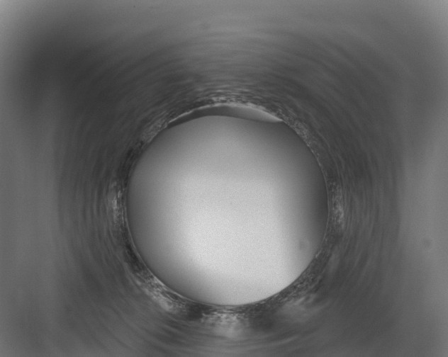 X0000082160276200702092225