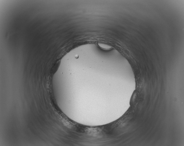 X0000082160277200702092225