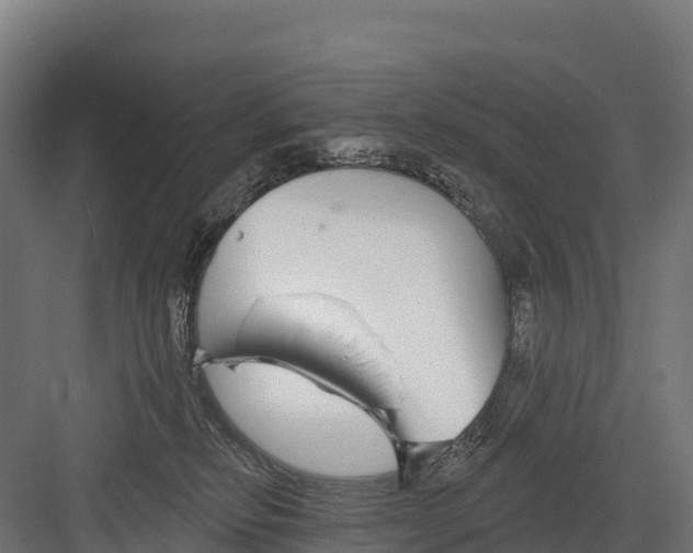 X0000082160278200702092225