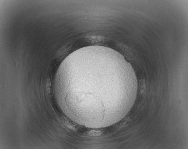 X0000082160279200702092225