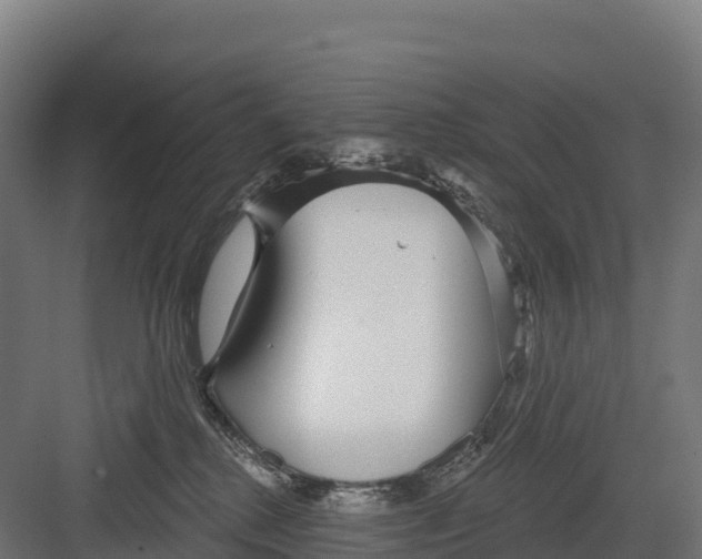 X0000082160280200702092225