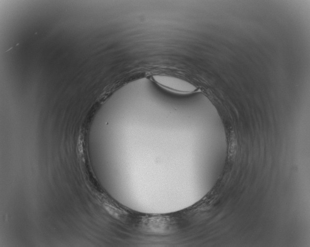 X0000082160282200702092225